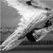 Soy nadadora que compite en master y trabajo como monitora de natacion en valencia